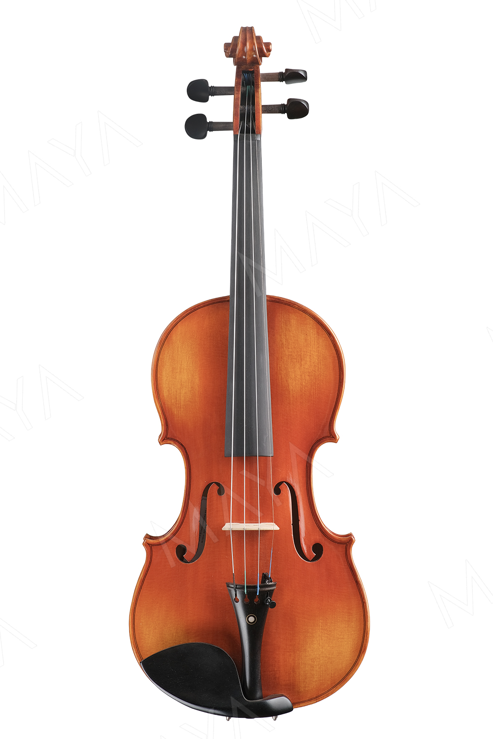 CELESTA W FRONT copy