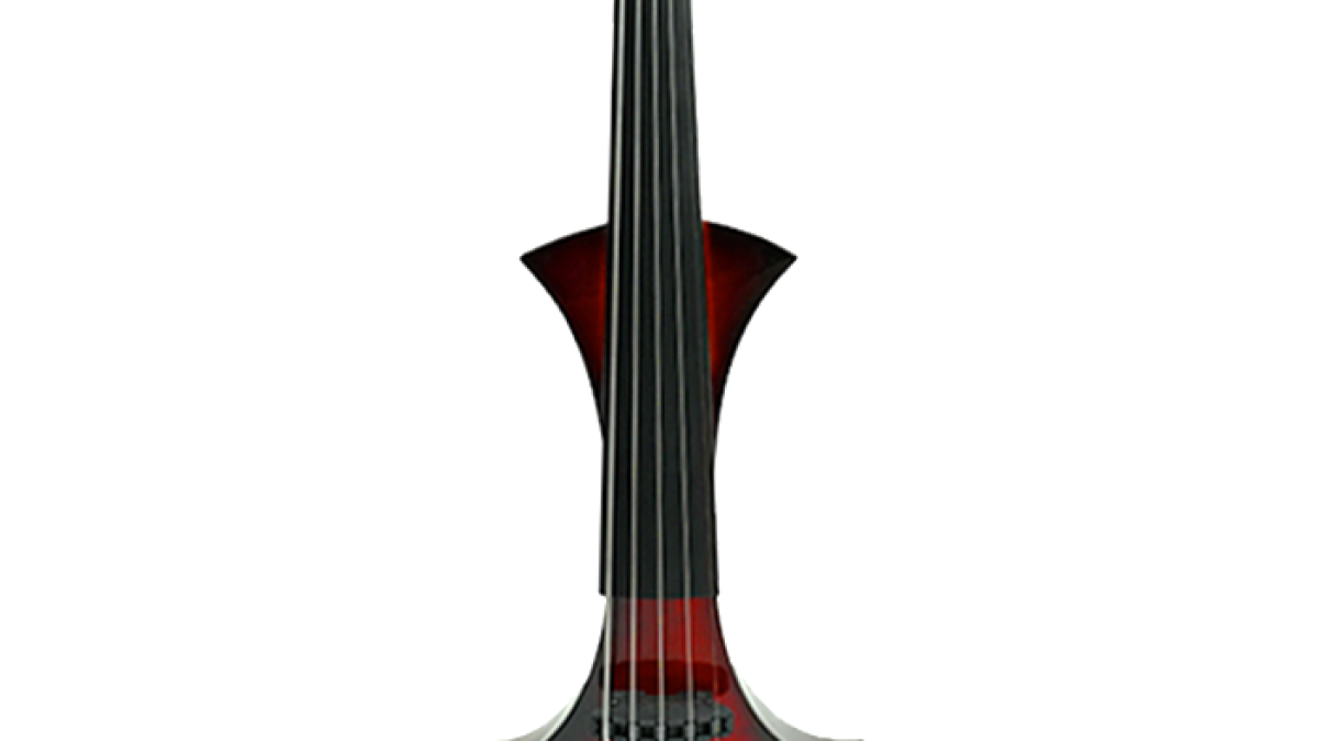 MAYA Professional 5 String Electric Violin - BIGVIOLINSHOP
