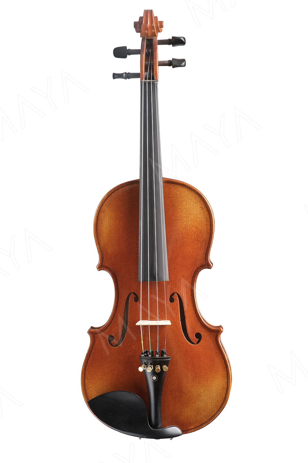 BRIO W FRONT copy