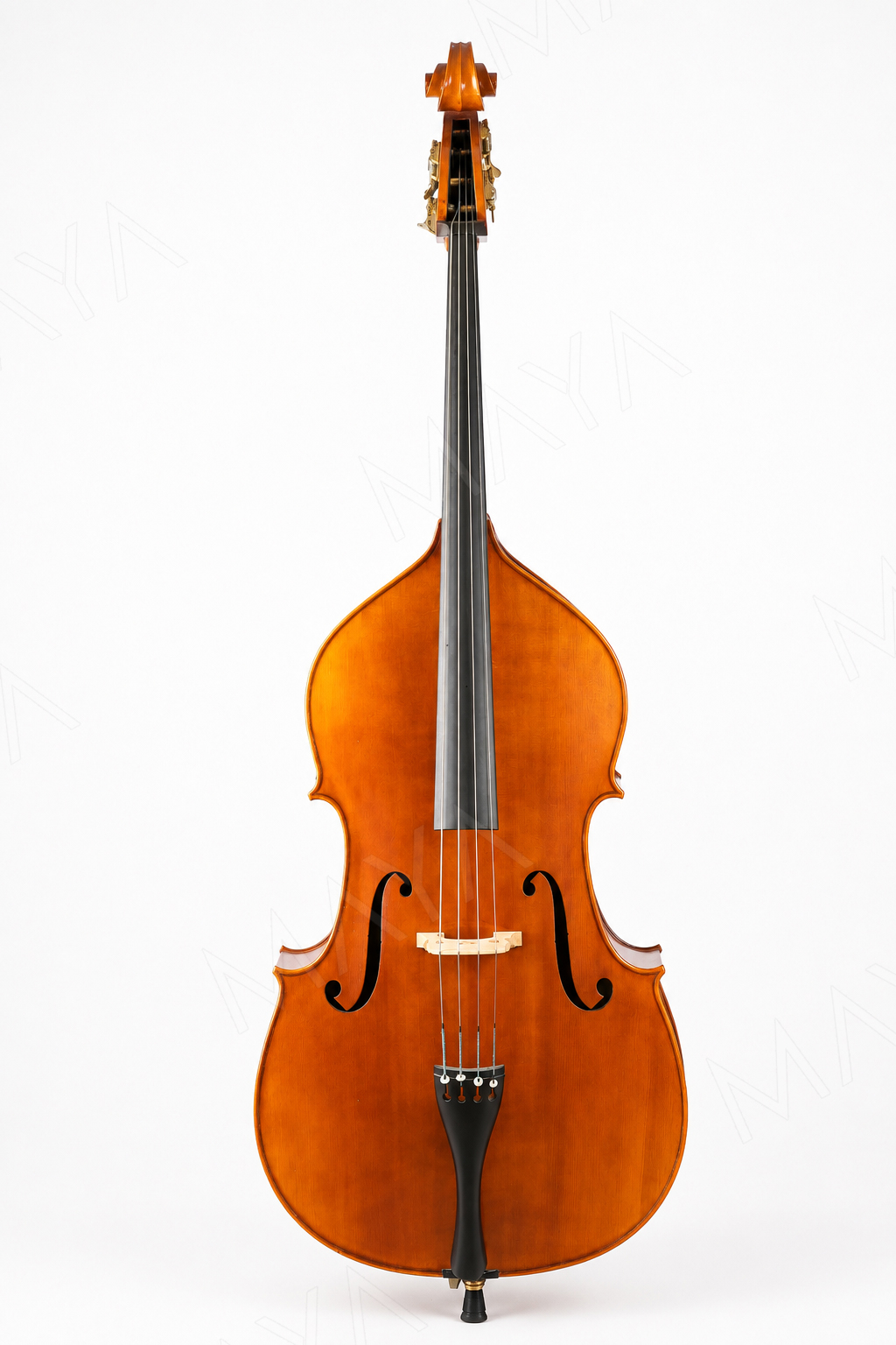 Double Bass (1) copy